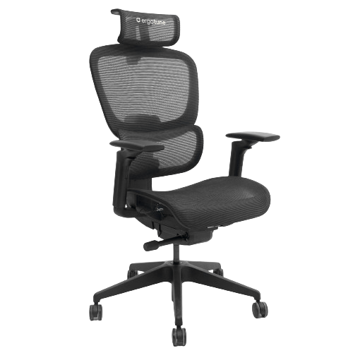 Ergotune Joobie (worth $599)
