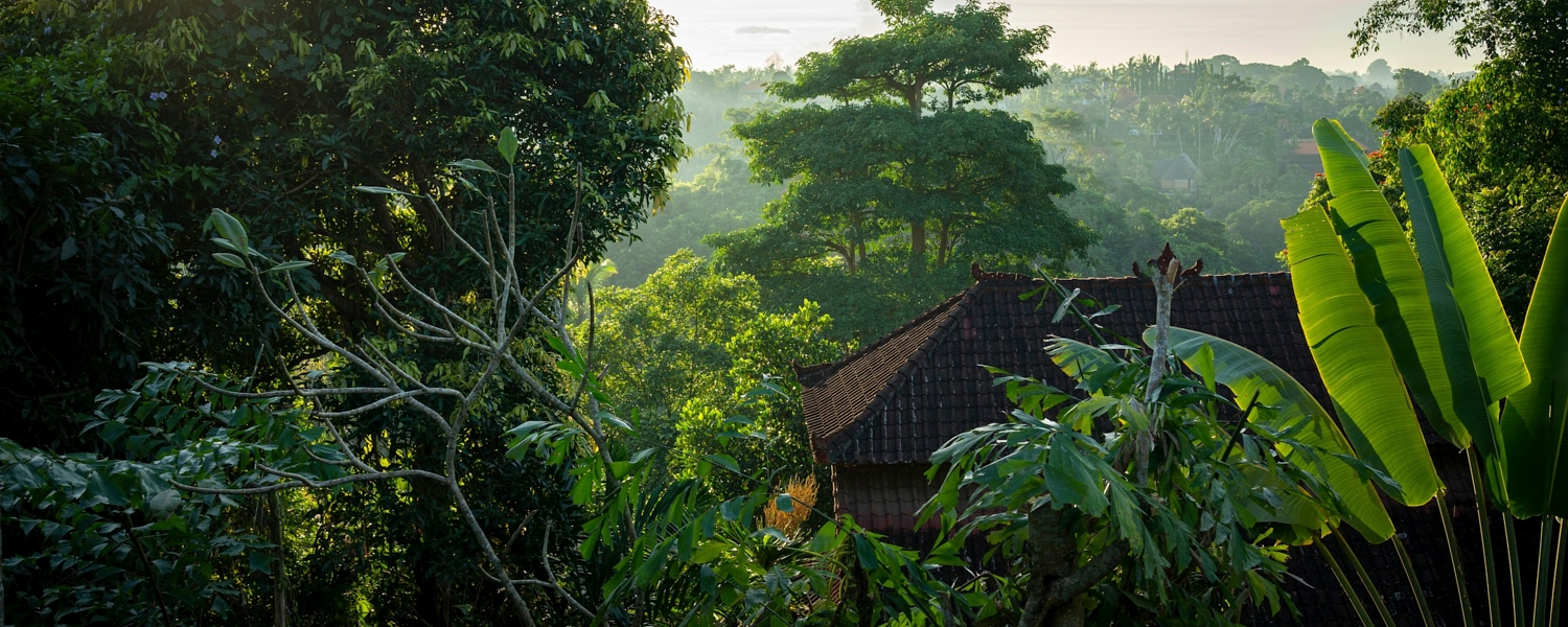 6 modi per entrare nello spirito delle feste durante il Natale a Ubud