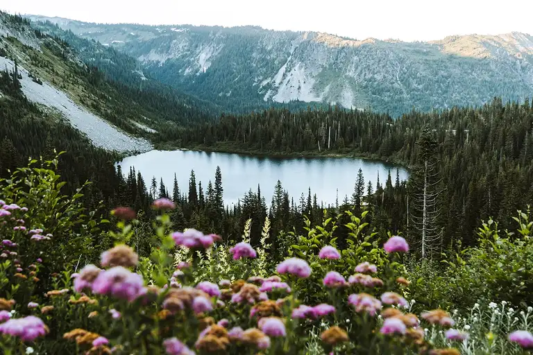 Mount Rainier