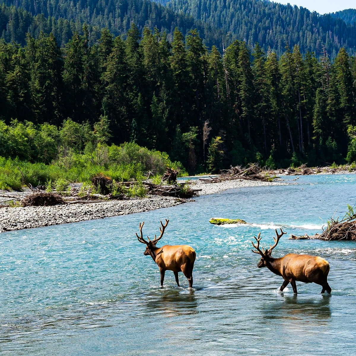 Explore off the beaten path with Seattle's best hidden gems
