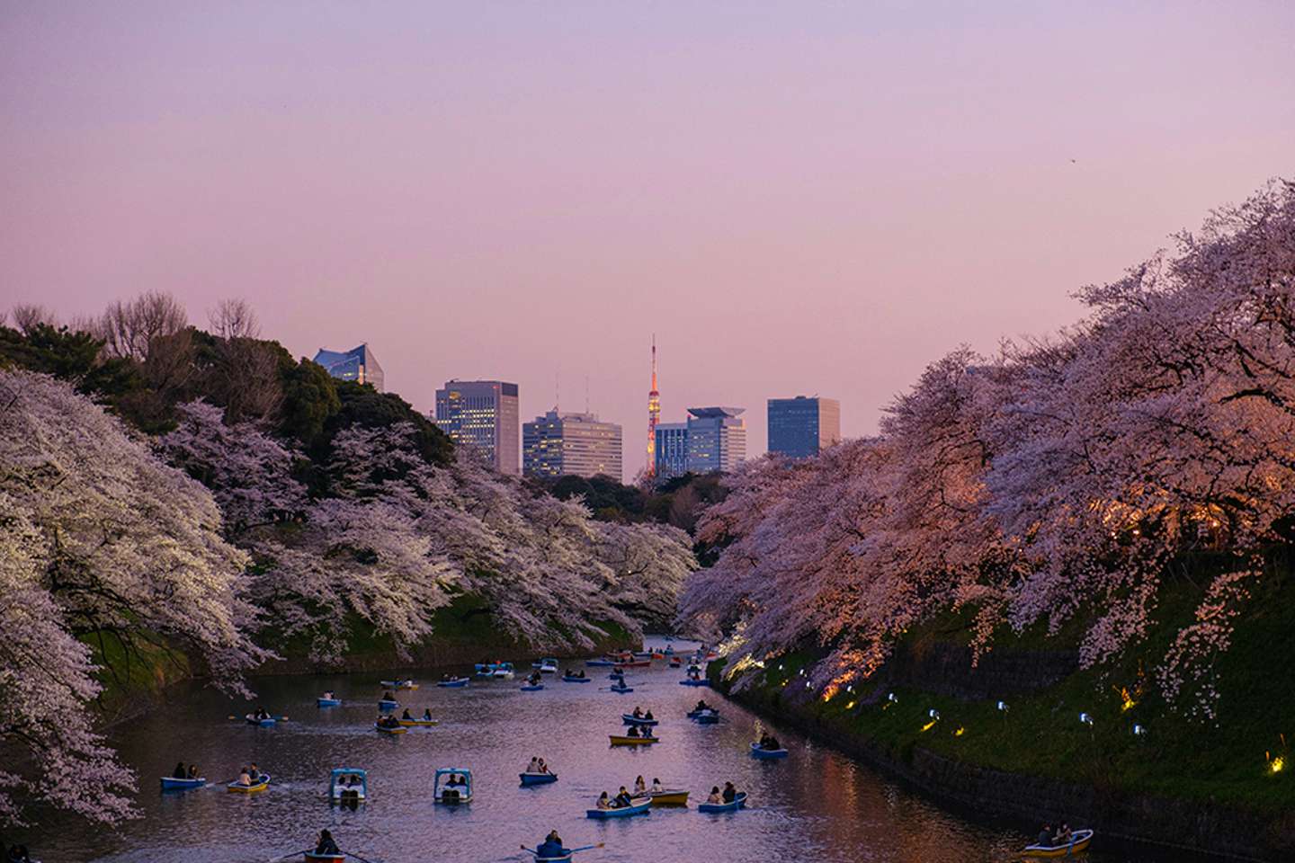 Walk In Tokyo Discover the Best Walks in Tokyo
