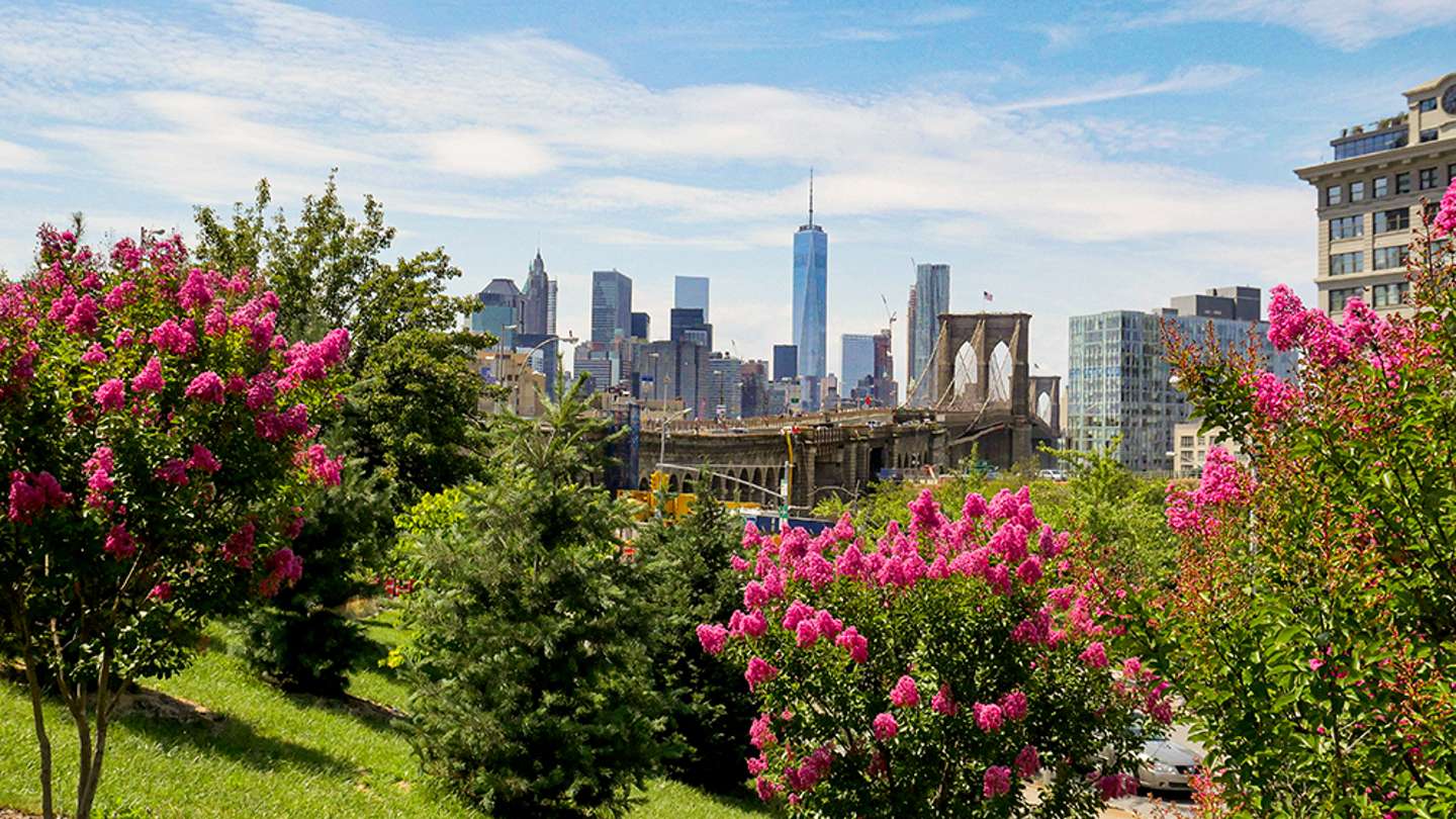 Springtime In New York Ultimate NYC Spring Guide: Top Outdoor and Cultural Adventures