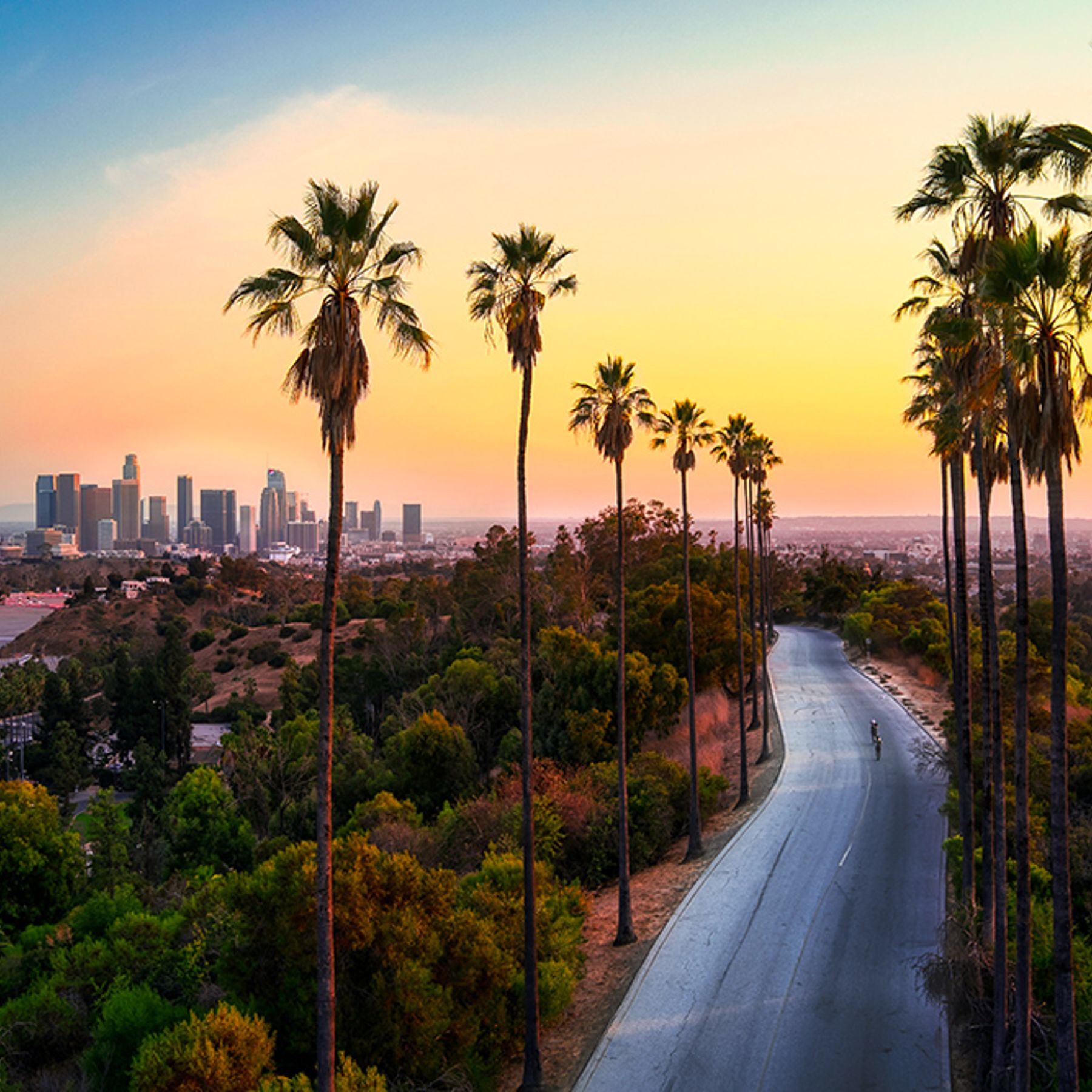 Los Angeles skyline and palm-lined road