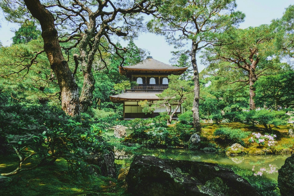 Kyoto en été : Comment profiter au mieux de votre visite