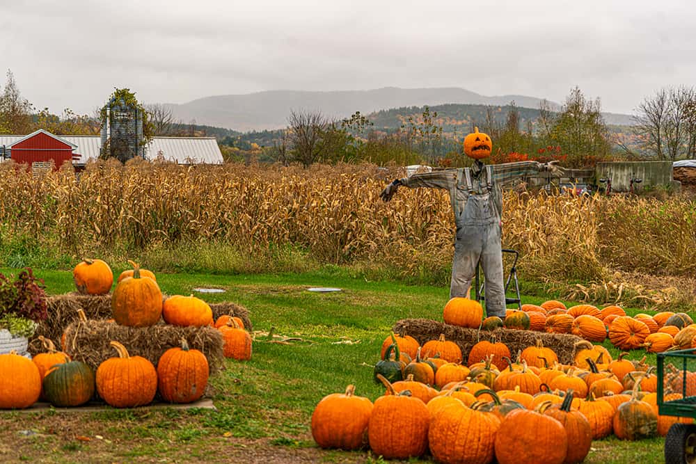 Fall In Baltimore Fall in Maryland: The Best Things To Do