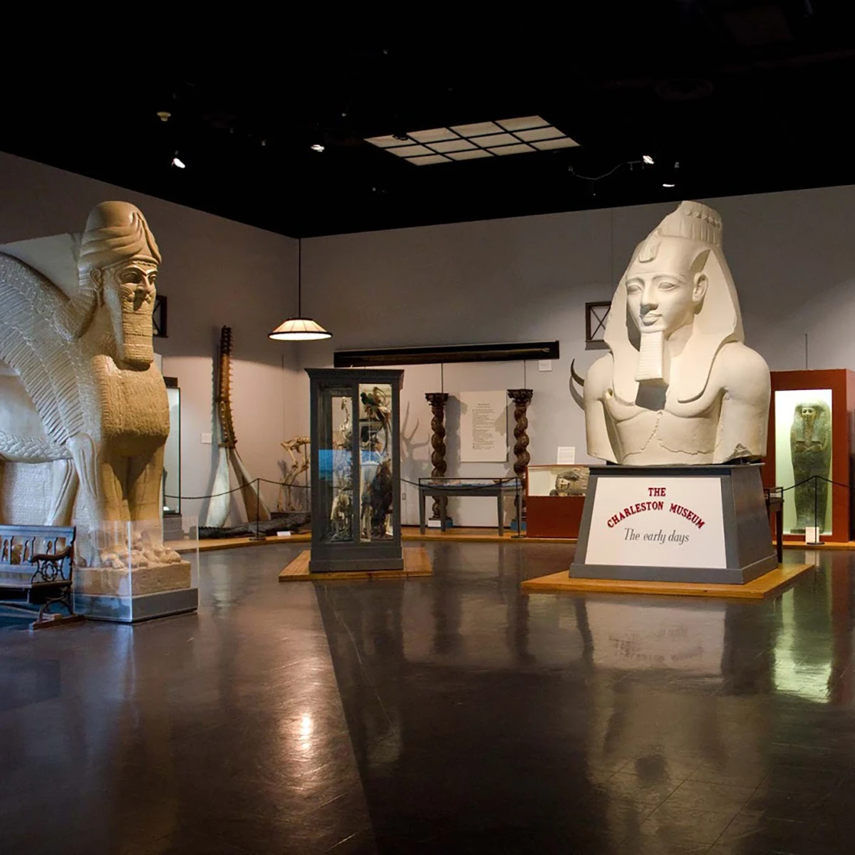 10 Fun family friendly activities in Charleston