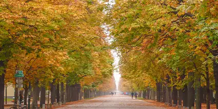 The ultimate guide to visiting Vienna in October