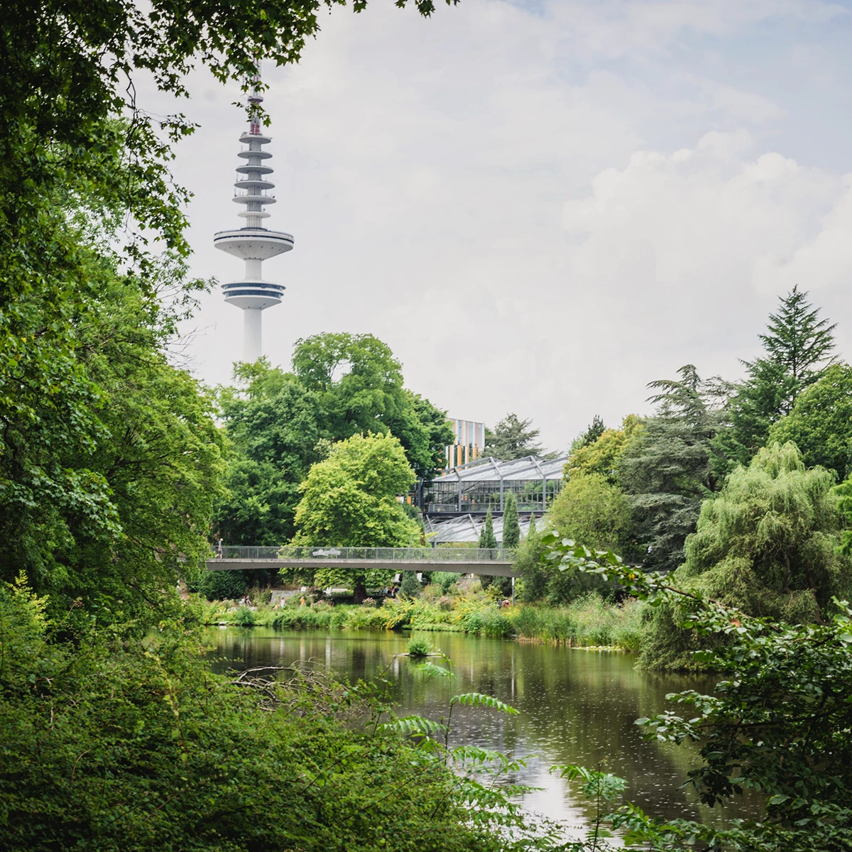 Hamburg in summer: best things to do and see