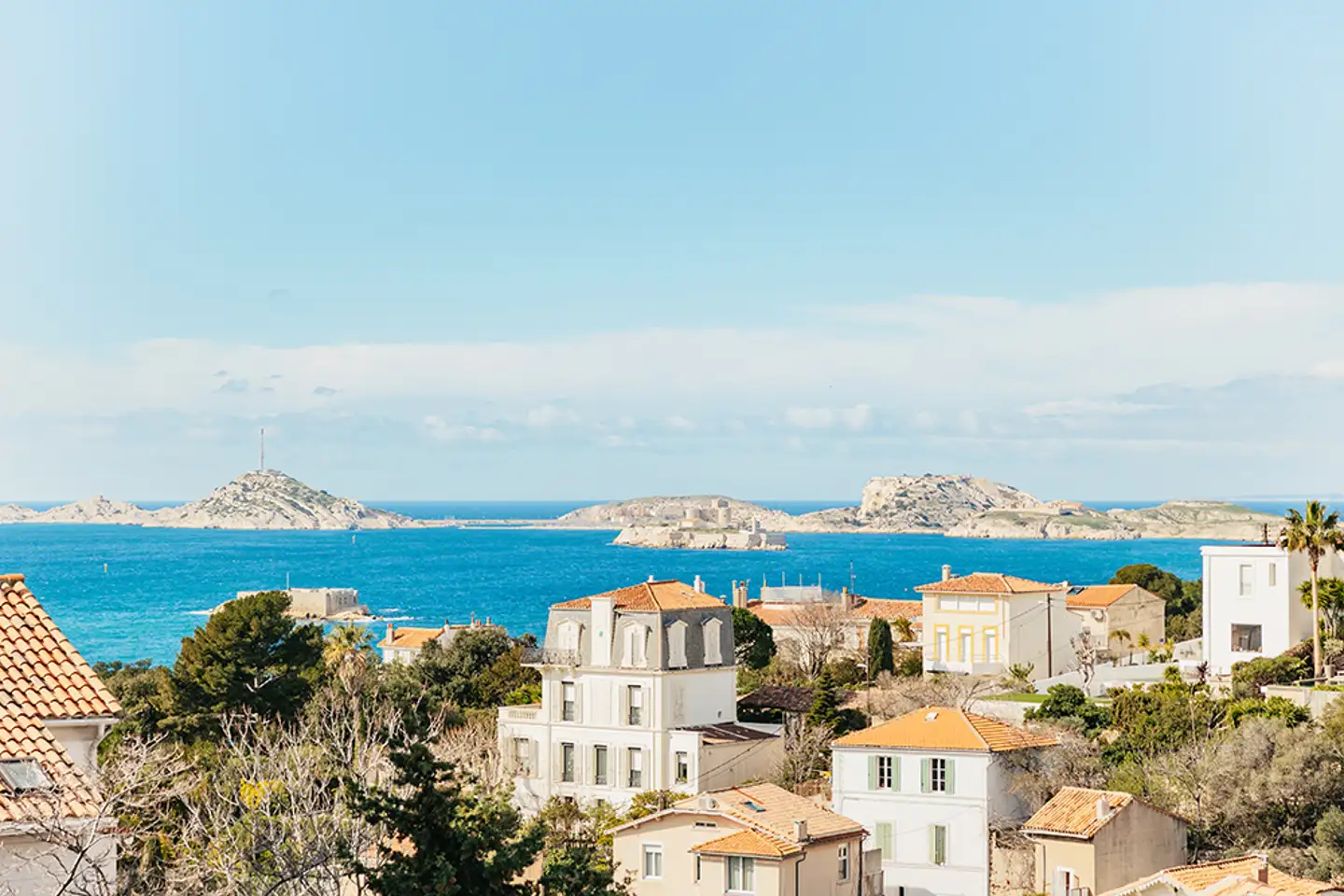 불타는 고구마\, image size:1440x960