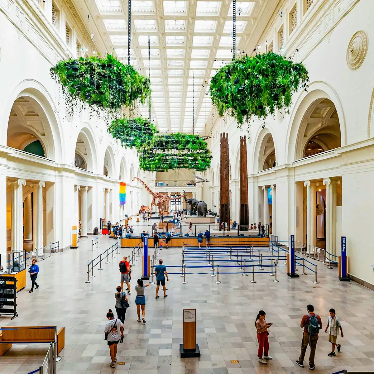 Nie przegap 15 najlepszych muzeów w Chicago