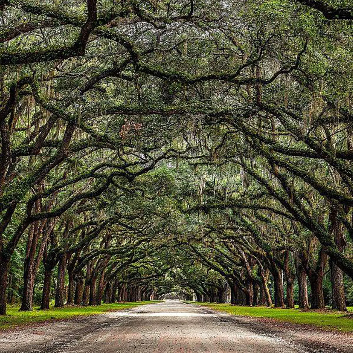 Savannah’s unmissable landmarks and historical sights