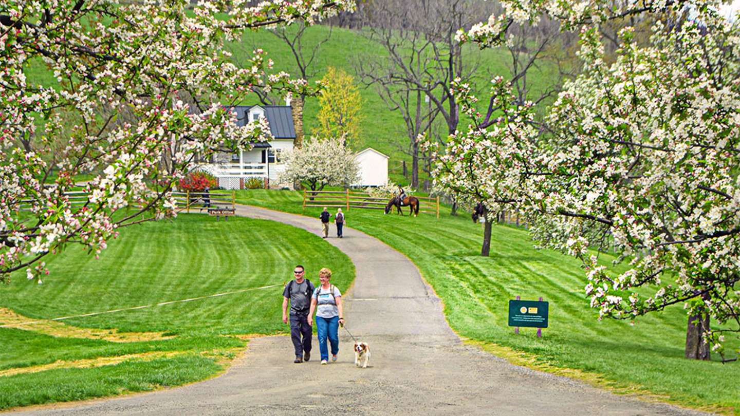 Spring in Virginia: 8 Top Things To Do and See