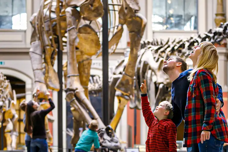 Museum of Natural History