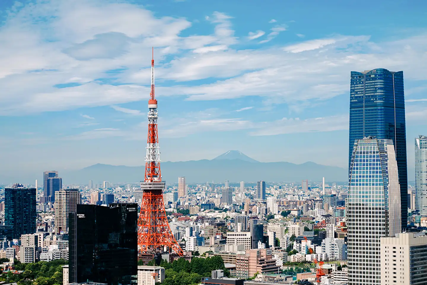 7 cosas que hacer en Tokio en julio
