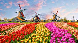 Bucket list things to do in the Netherlands: Your itinerary