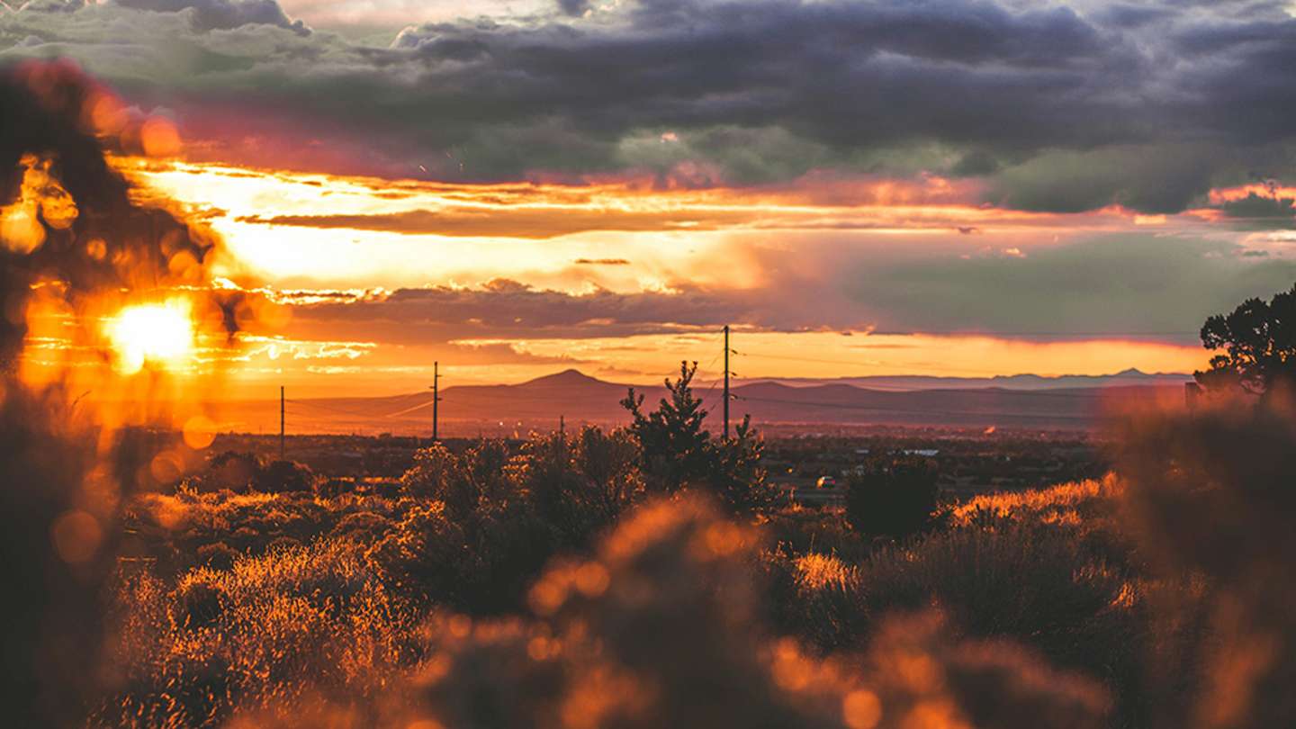 Springstead Nm 8 Things To Do in Spring in New Mexico