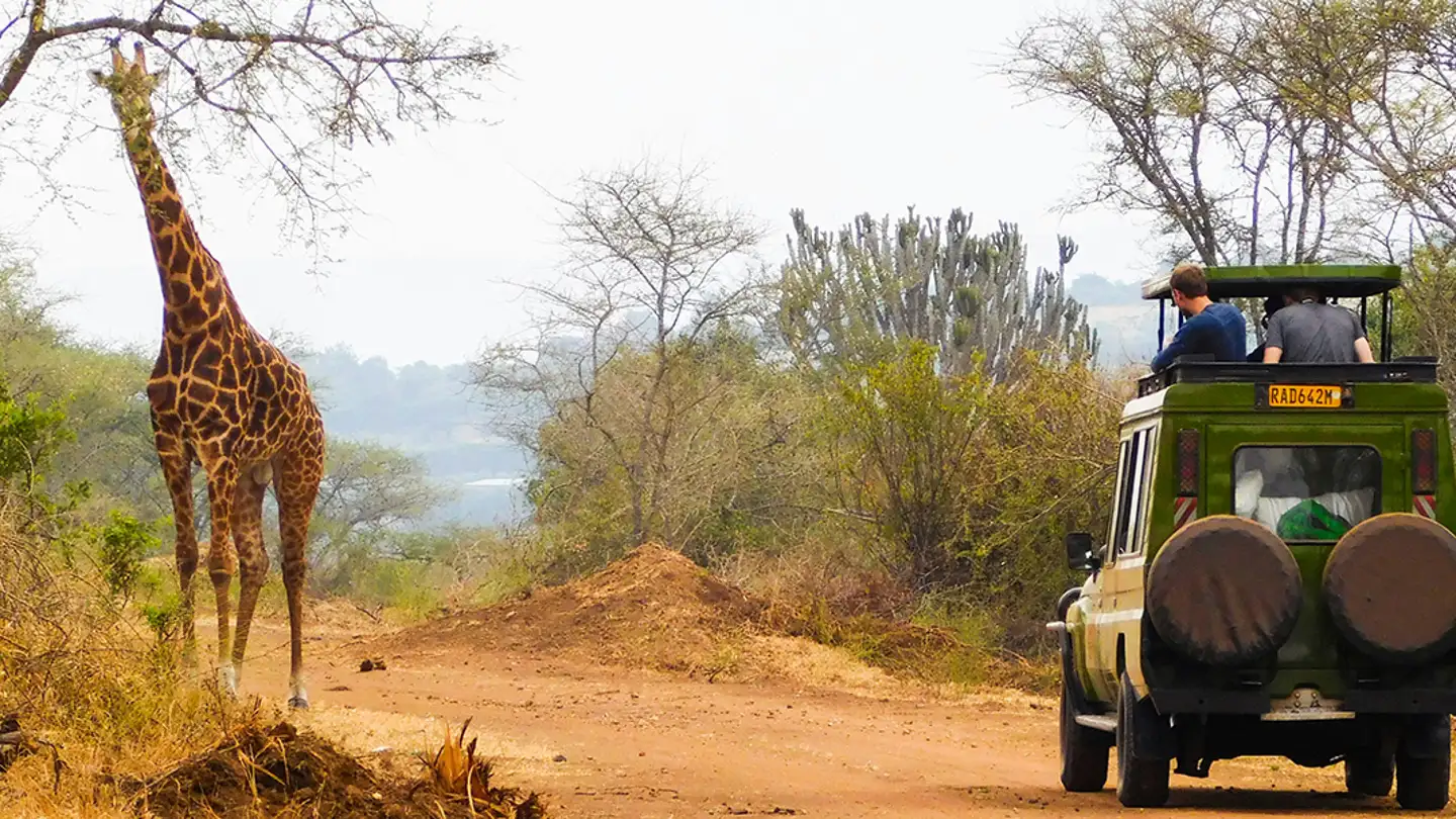9 wichtige Tipps für dein erstes afrikanisches Safarierlebnis