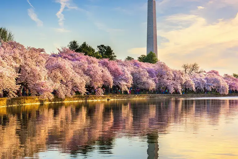 Experience the tranquil beauty of the Potomac River