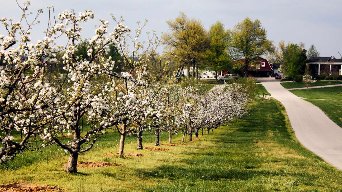 Spring in Kentucky: Best Things To See and Do