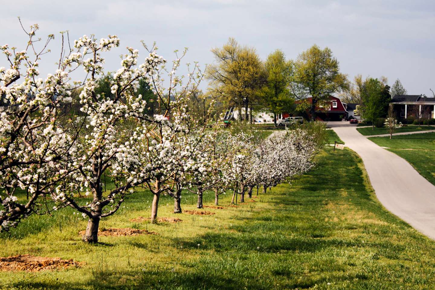 Spring in Kentucky: Best Things To See and Do
