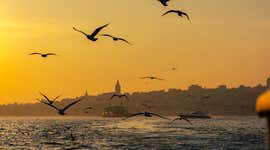 10 perfect ideas for your birthday in Istanbul