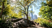 10 best places to visit in New York City