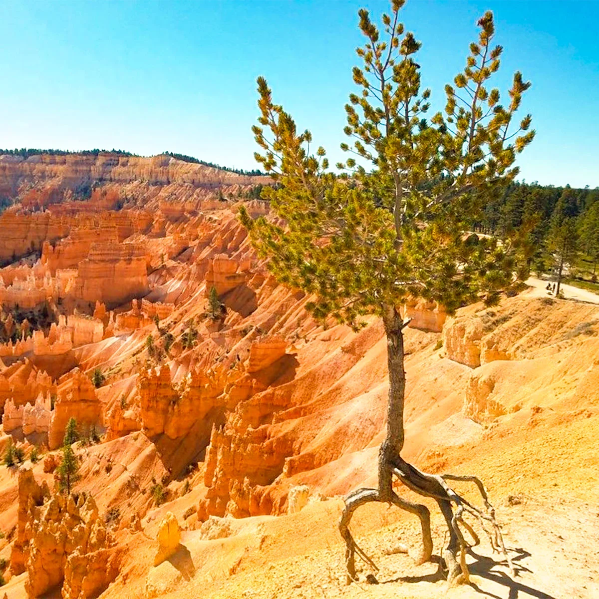 Best museums in Las Vegas that are worth your time