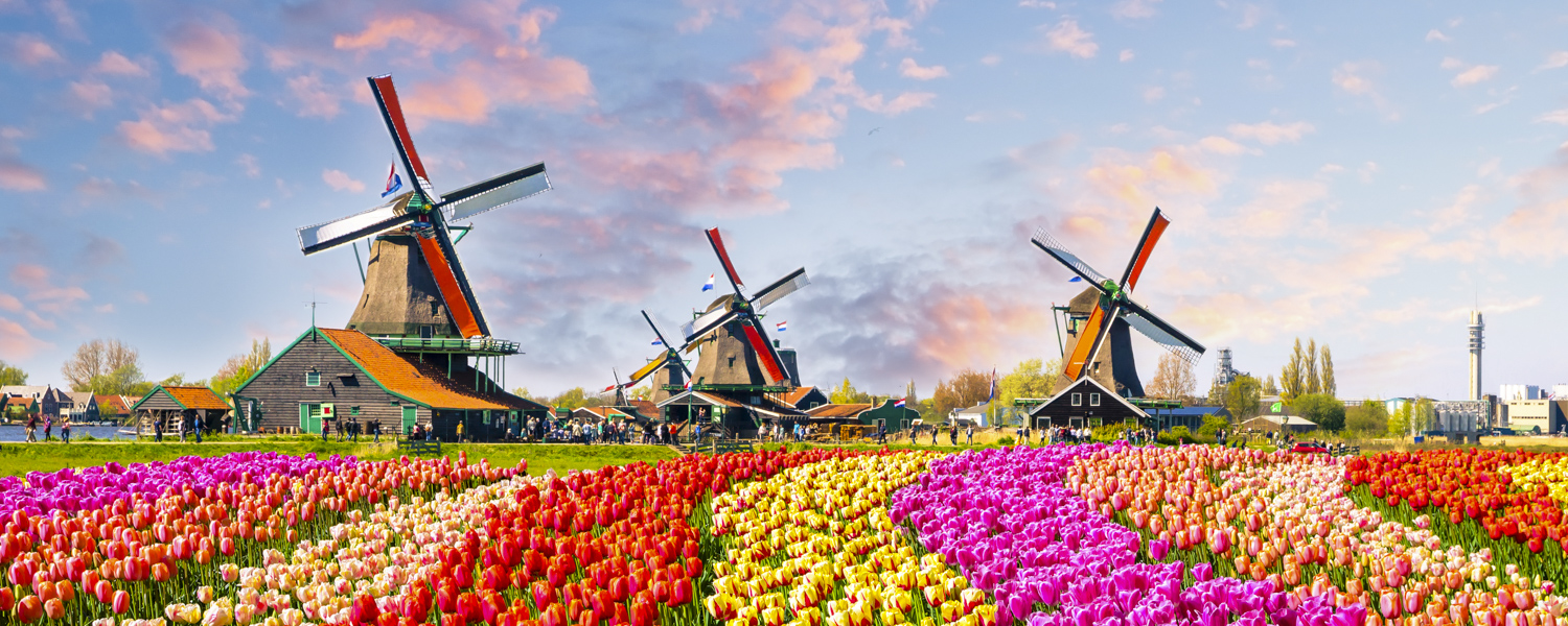Is Netherlands a Good Country for Expats? (2026 Guide)