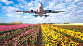 Your guide to what to know before going to the Netherlands