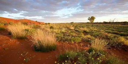 Outback Queensland: the ultimate Aussie adventure