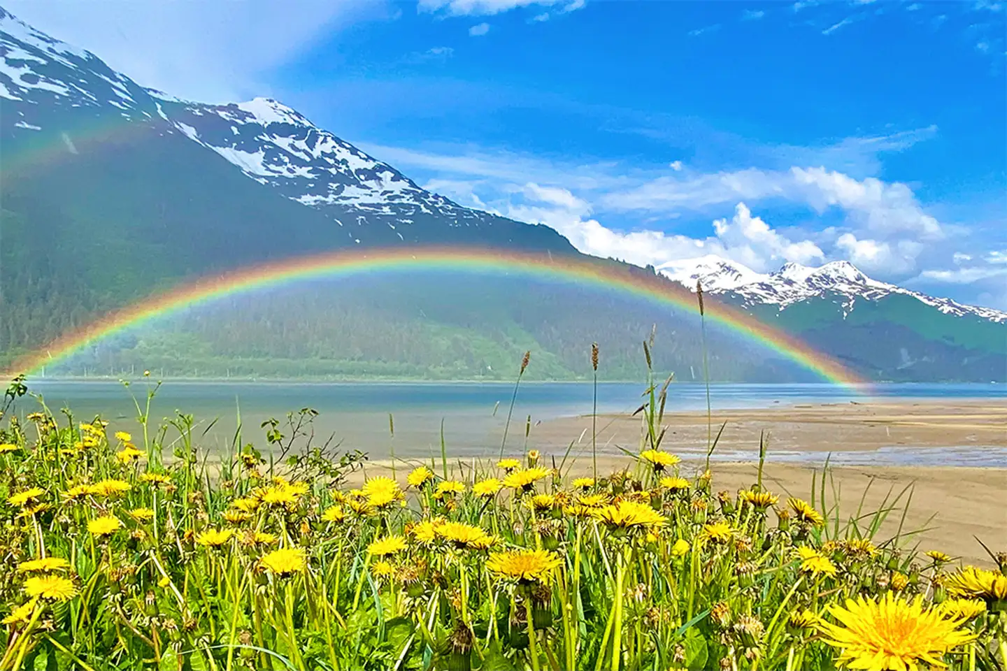 7 trilhas épicas para caminhadas no Alasca, image size:1440x960