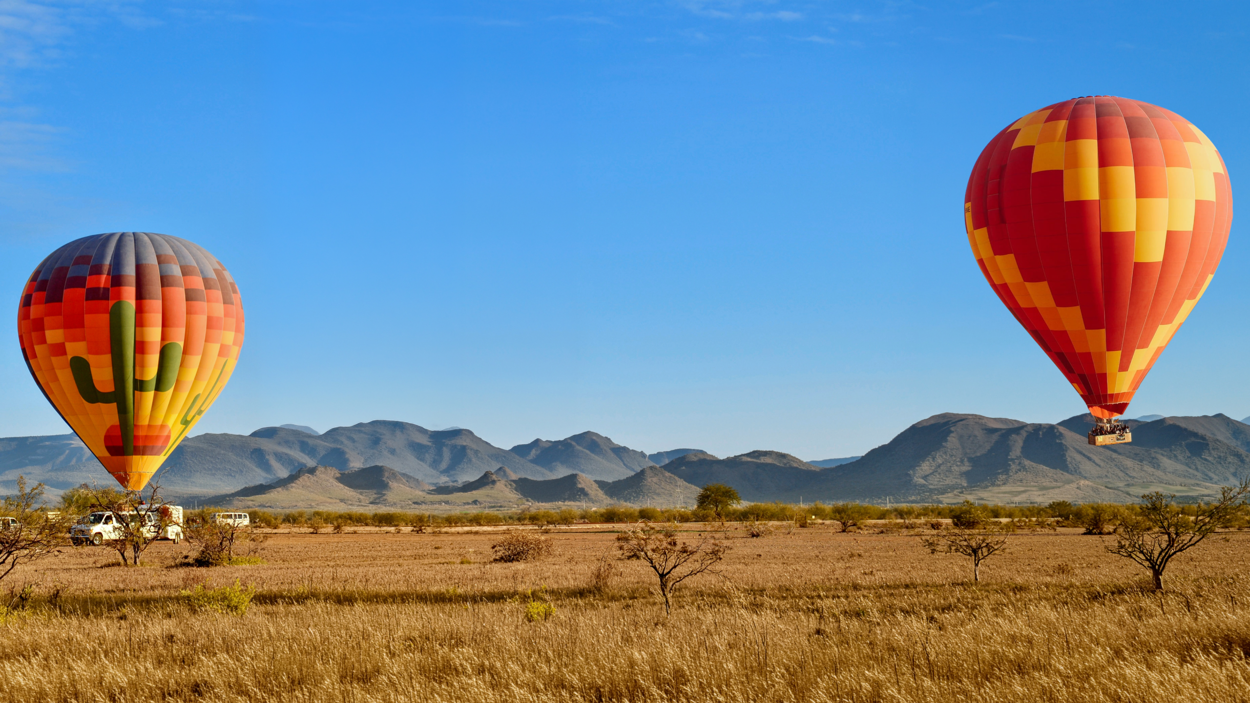 Secret Deal: Get 10% off unforgettable experiences