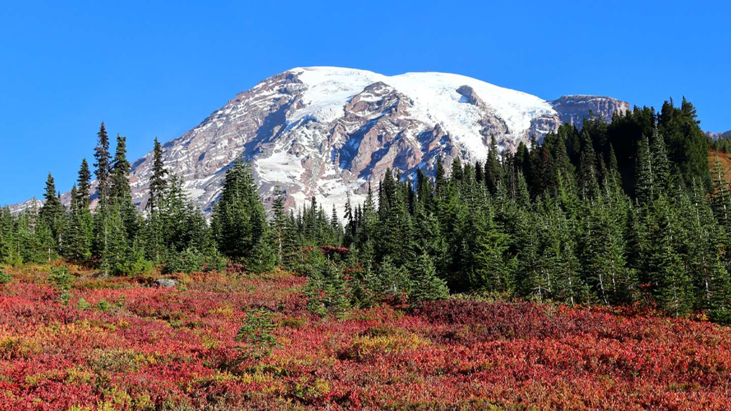 Fall In Washington Fall in Washington: What To See and Do