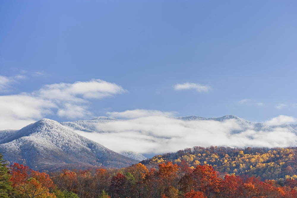 iStock-157393830-HEADER_MOBILE