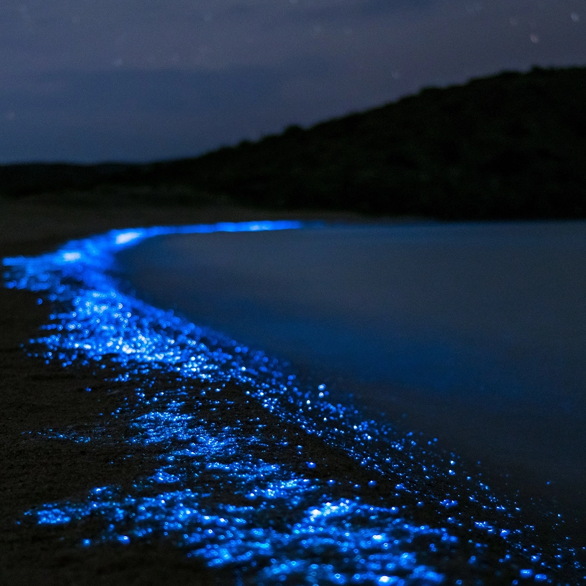 The 9 best bioluminescent bays around the world and how to see them