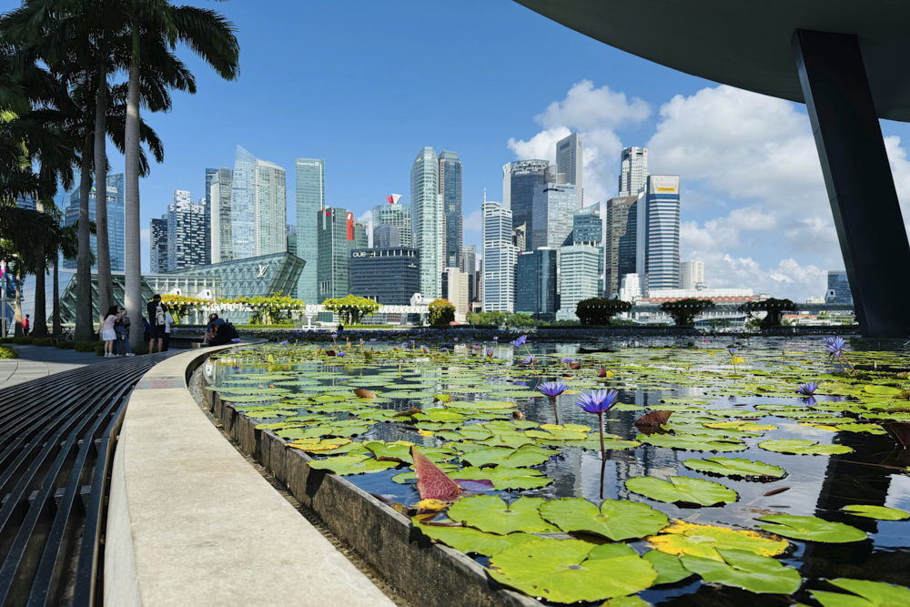 在新加坡过生日的8个精彩创意