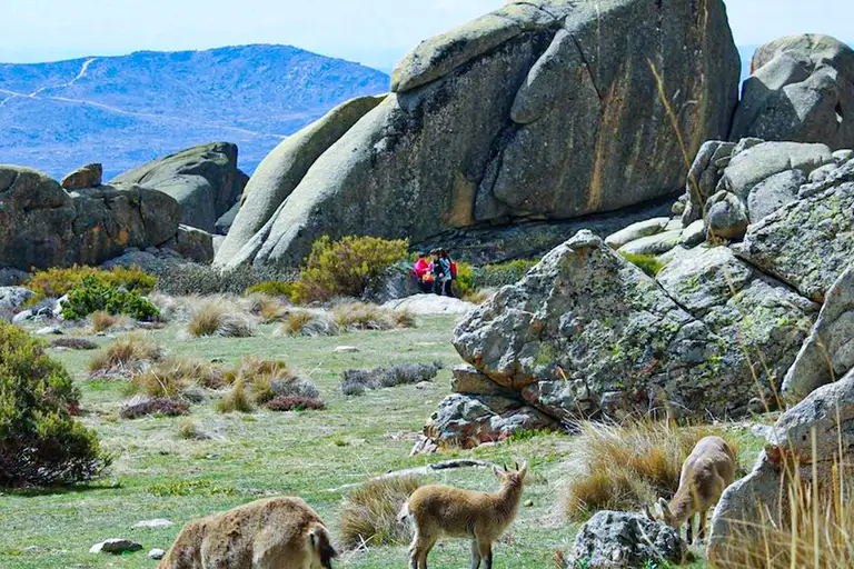 Serra de Guadarrama