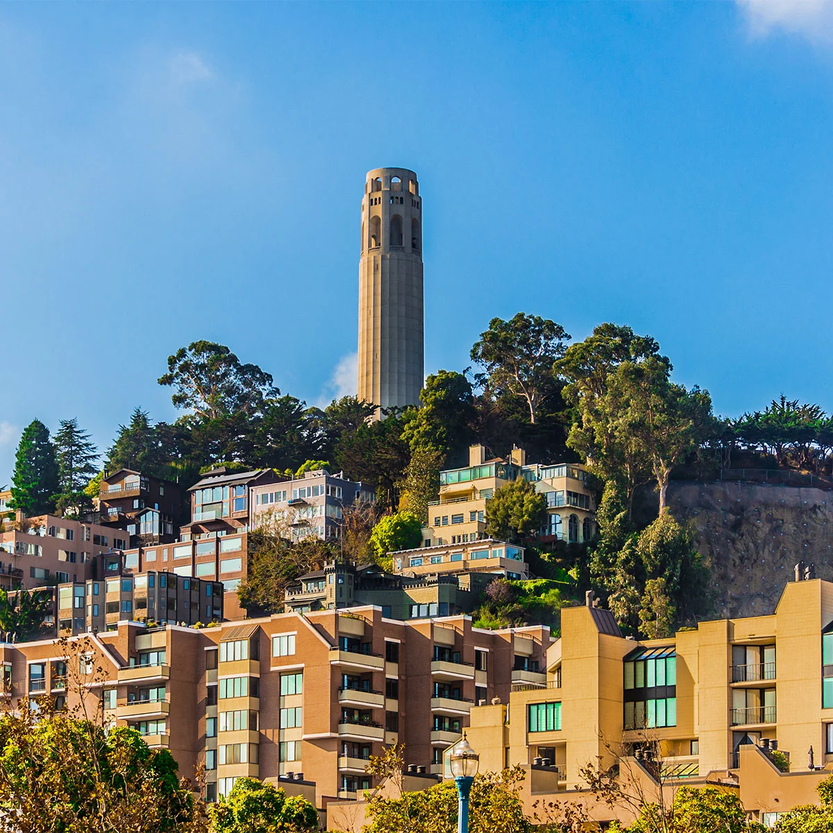 旧金山最佳观光地点：不容错过的热门景点