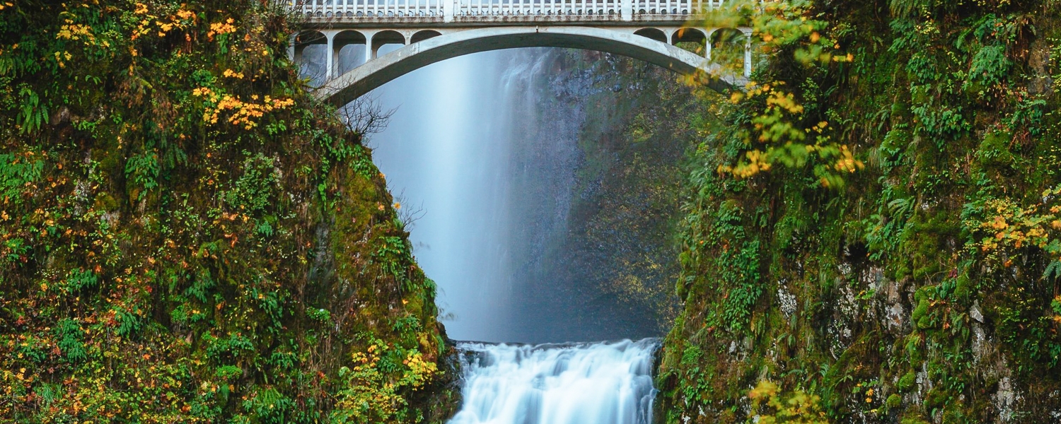The ultimate guide to exploring Seattle