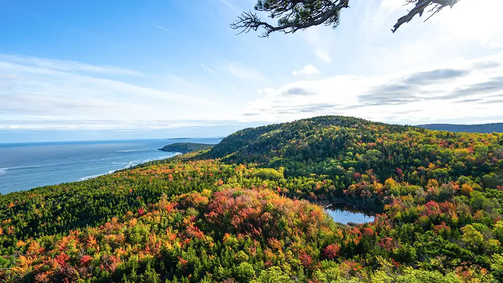 Az Acadia Nemzeti Park Legjobb L togat si Ideje R szletes tmutat az-acadia-nemzeti-park-legjobb-l-togat-si-ideje-r-szletes-tmutat