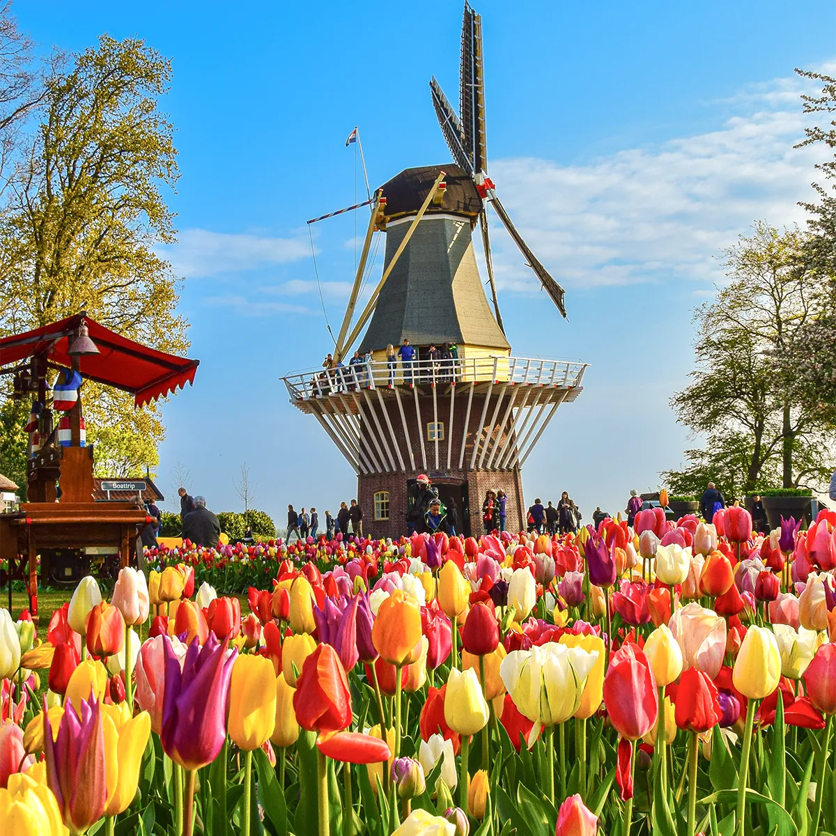 20 fun things to do in Amsterdam