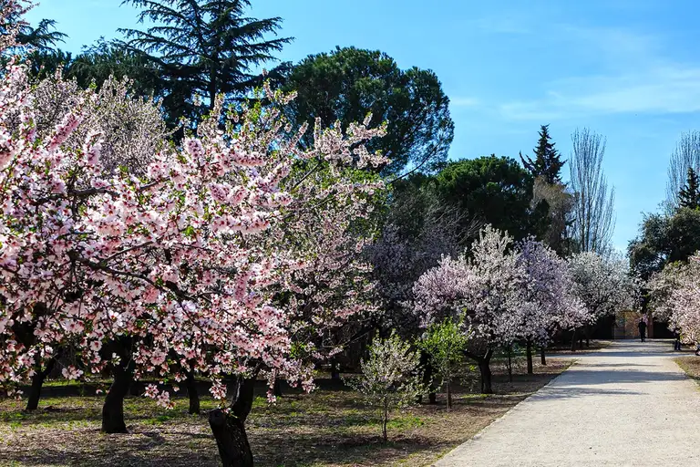 La Quinta de Molinos