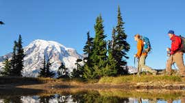 Best time to visit Mount Rainier National Park: A monthly guide