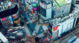 Tips for visiting Shibuya Crossing: Your questions answered