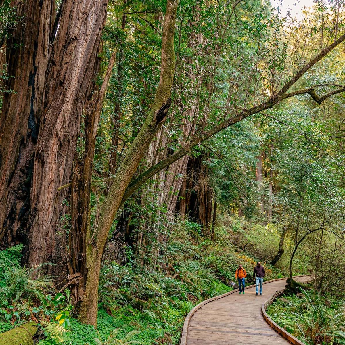 Best places to visit in San Francisco: top attractions you don't want