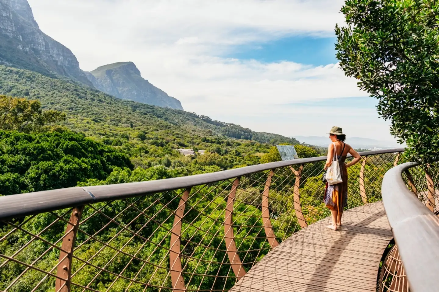 Discover The Best Walks In Cape Town discover-the-best-walks-in-cape-town