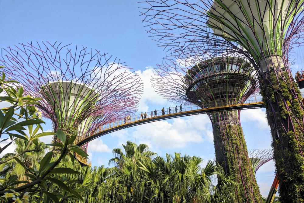 首次造訪新加坡（Singapore）前，你該知道的事