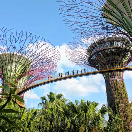 What to Know About Singapore before Visiting: Essential Tips