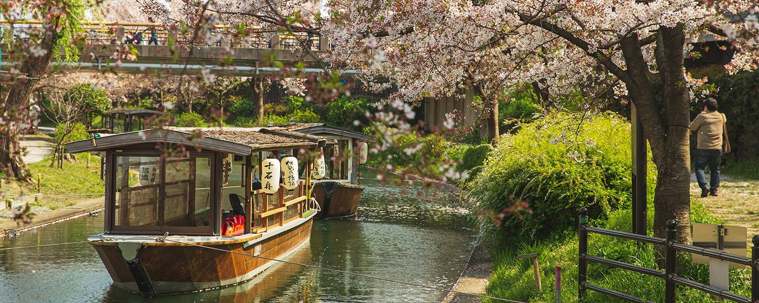 Your guide to Kyoto in spring: 8 essential experiences