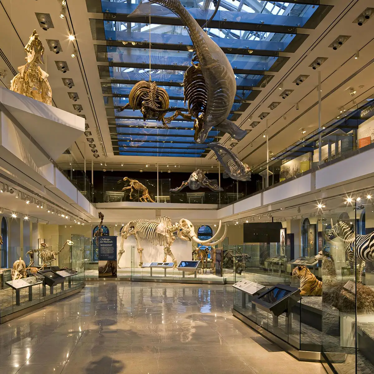 The 13 Best Museums To Visit In Los Angeles the-13-best-museums-to-visit-in-los-angeles